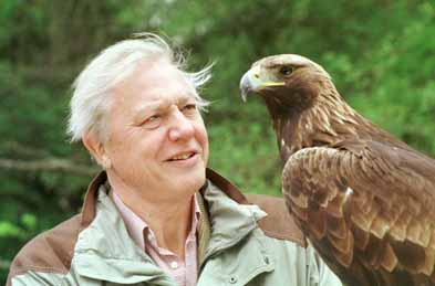 my hero, David Attenborough with an eagle
